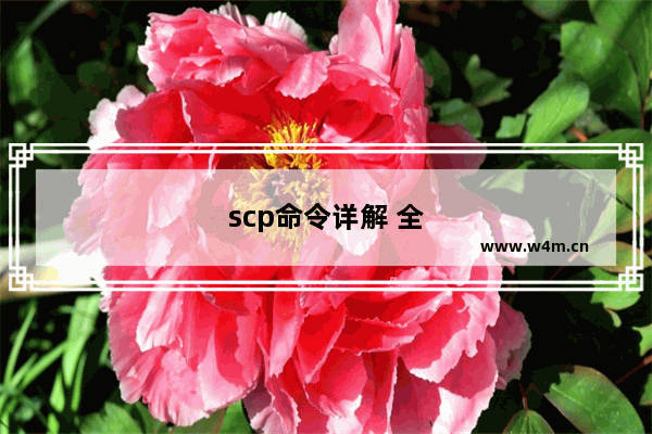 scp命令详解 全