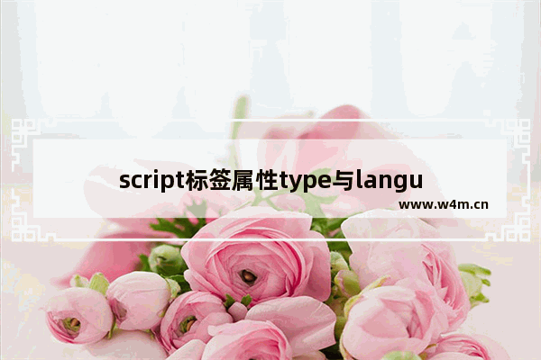 script标签属性type与language使用选择