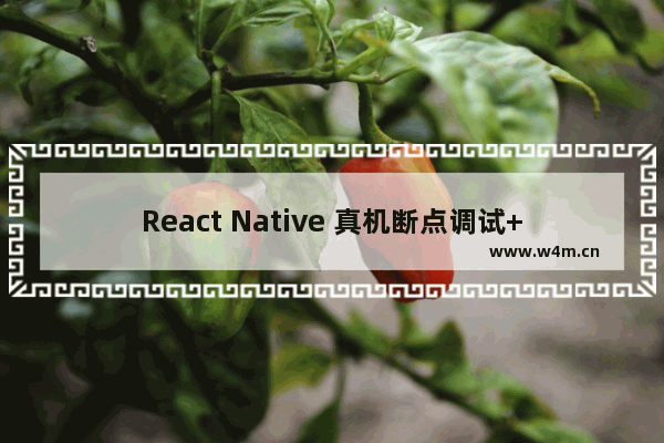 React Native 真机断点调试+跨域资源加载出错问题的解决方法