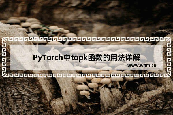 PyTorch中topk函数的用法详解