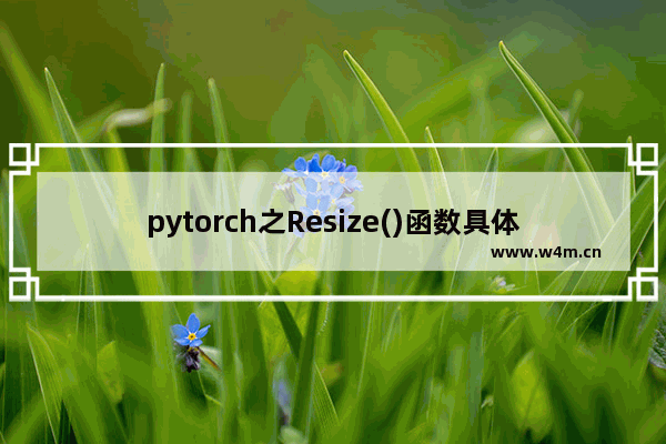 pytorch之Resize()函数具体使用详解