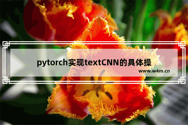 pytorch实现textCNN的具体操作