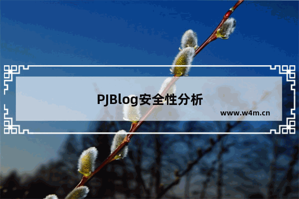 PJBlog安全性分析