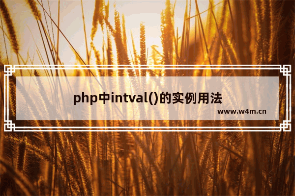 php中intval()的实例用法