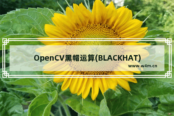 OpenCV黑帽运算(BLACKHAT)的使用