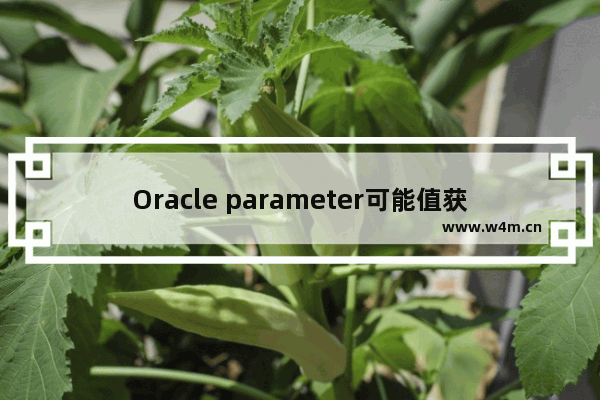 Oracle parameter可能值获取方法