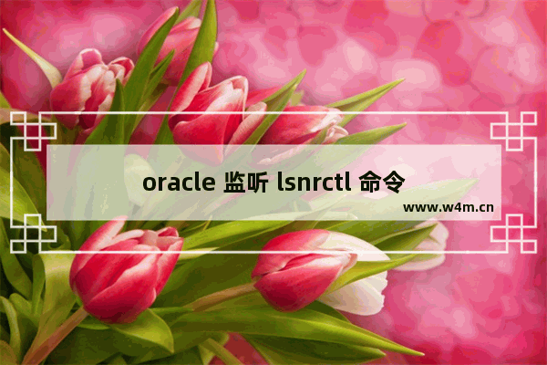 oracle 监听 lsnrctl 命令 (推荐)