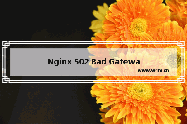 Nginx 502 Bad Gateway错误原因及解决方案