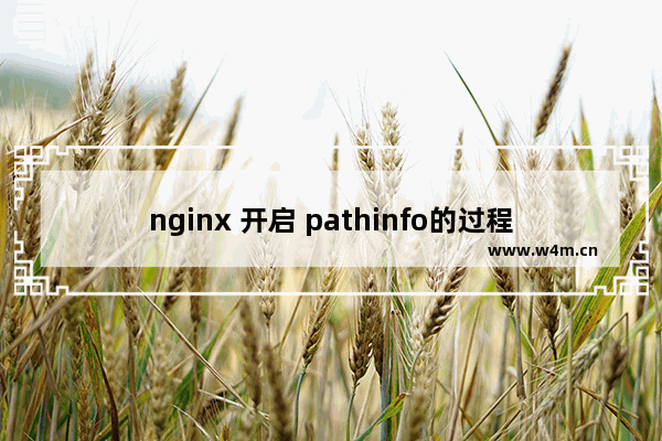 nginx 开启 pathinfo的过程详解