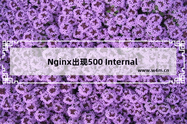 Nginx出现500 Internal Server Error 错误的解决方案