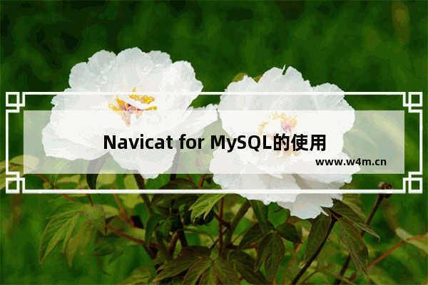 Navicat for MySQL的使用教程详解