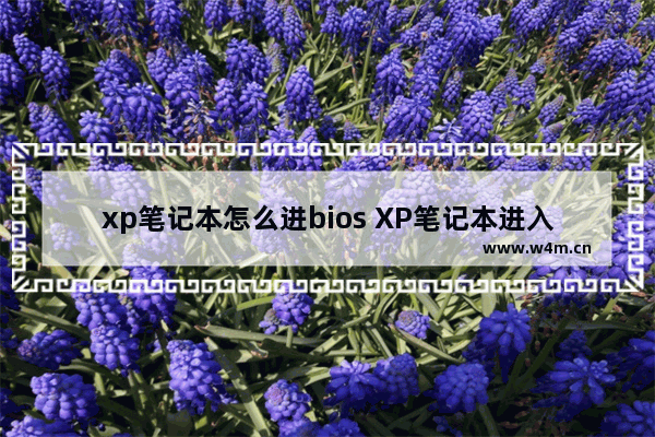 xp笔记本怎么进bios XP笔记本进入BIOS的方法