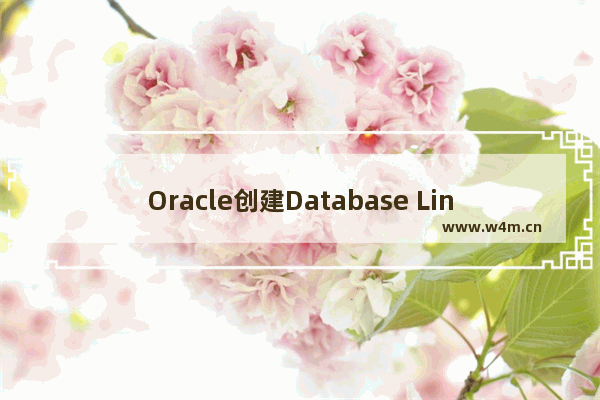 Oracle创建Database Link的两种方式详解