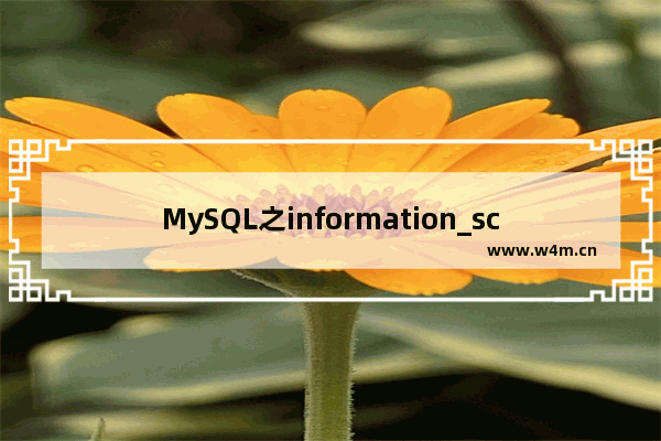 MySQL之information_schema数据库详细讲解