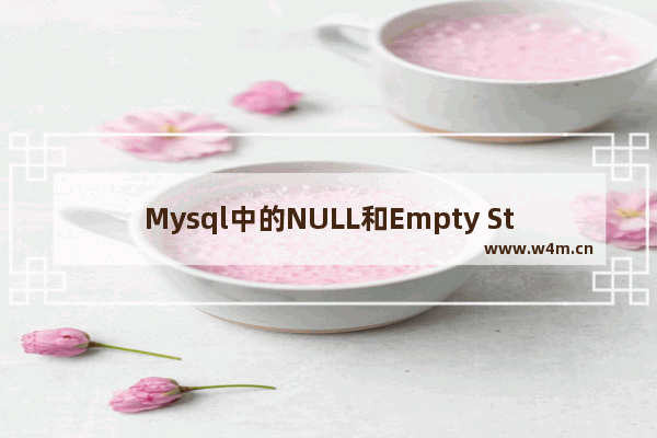 Mysql中的NULL和Empty String