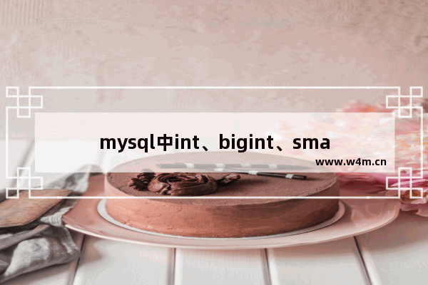 mysql中int、bigint、smallint 和 tinyint的区别详细介绍