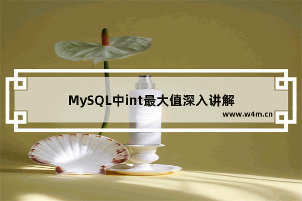 MySQL中int最大值深入讲解