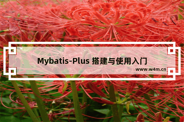 Mybatis-Plus 搭建与使用入门(小结)