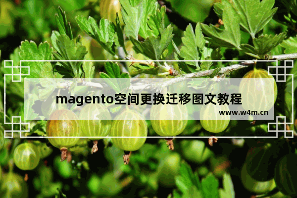 magento空间更换迁移图文教程