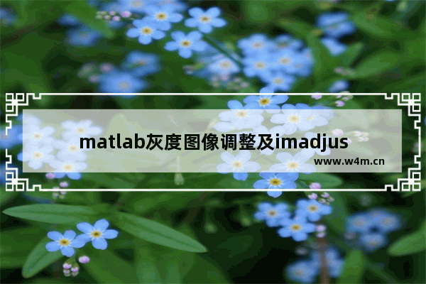 matlab灰度图像调整及imadjust函数的用法详解