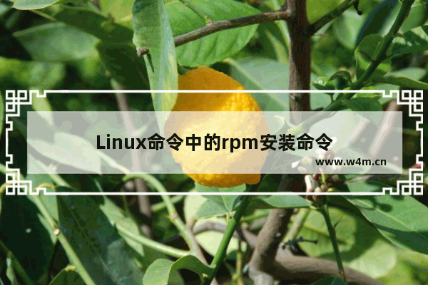 Linux命令中的rpm安装命令