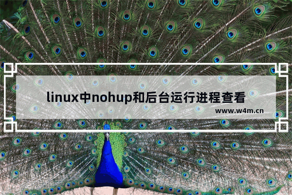 linux中nohup和后台运行进程查看及终止