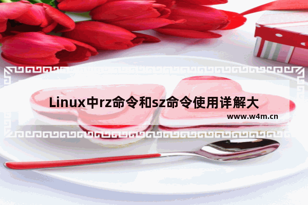 Linux中rz命令和sz命令使用详解大全