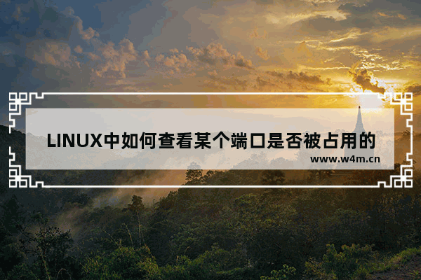 LINUX中如何查看某个端口是否被占用的方法