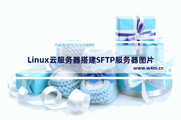 Linux云服务器搭建SFTP服务器图片服务器的操作