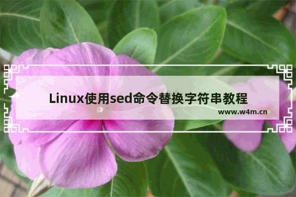 Linux使用sed命令替换字符串教程