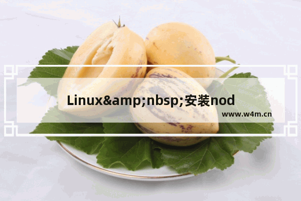 Linux 安装nodejs环境及路径配置详细步骤