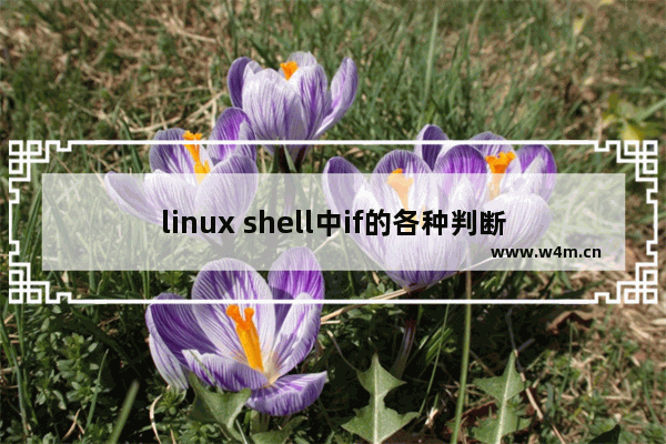 linux shell中if的各种判断