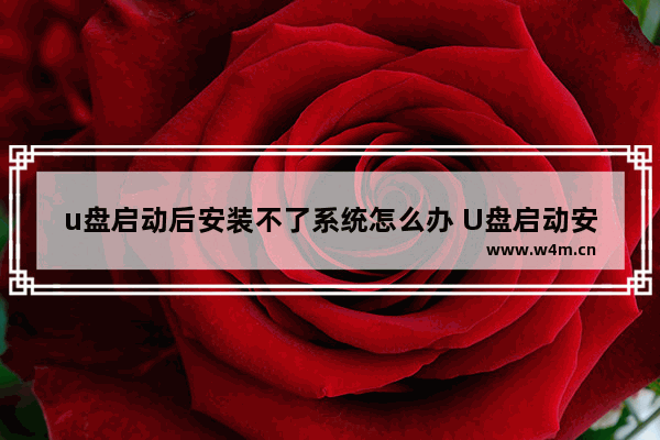 u盘启动后安装不了系统怎么办 U盘启动安装系统失败的解决方法