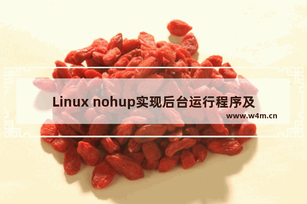 Linux nohup实现后台运行程序及查看 nohup与&