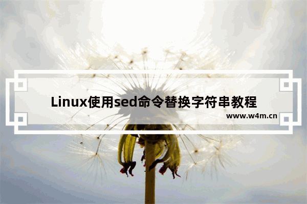 Linux使用sed命令替换字符串教程