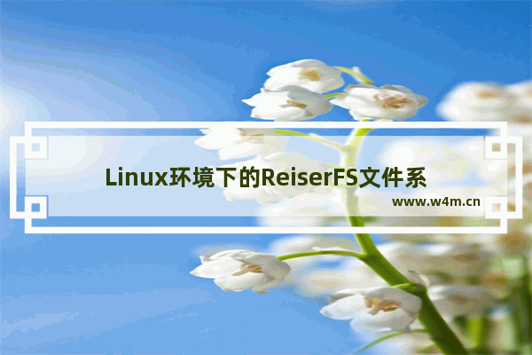 Linux环境下的ReiserFS文件系统