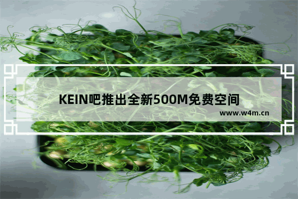 KEIN吧推出全新500M免费空间