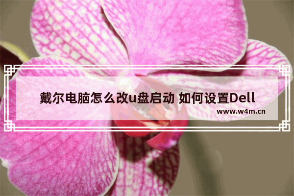 戴尔电脑怎么改u盘启动 如何设置Dell电脑U盘启动？