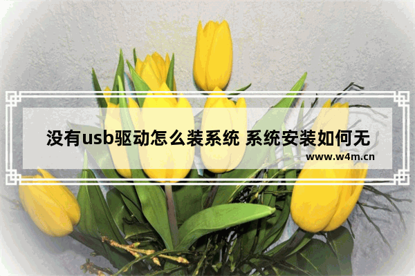 没有usb驱动怎么装系统 系统安装如何无USB驱动？