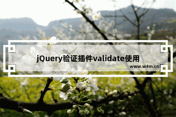 jQuery验证插件validate使用方法详解