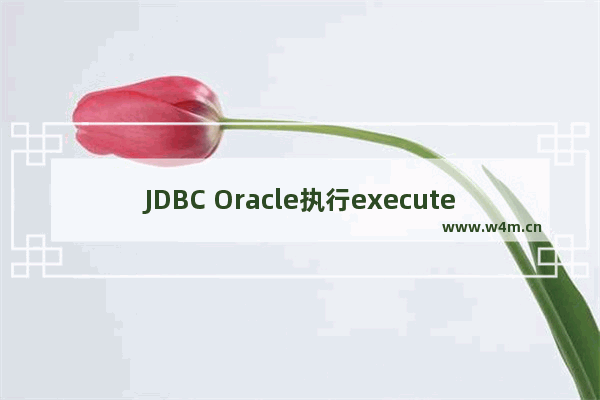 JDBC Oracle执行executeUpdate卡死问题的解决方案