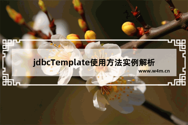 jdbcTemplate使用方法实例解析