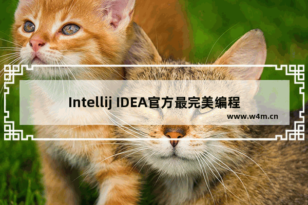 Intellij IDEA官方最完美编程字体Mono使用