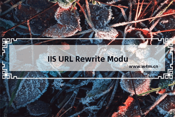 IIS URL Rewrite Module防盗链规则配置方法