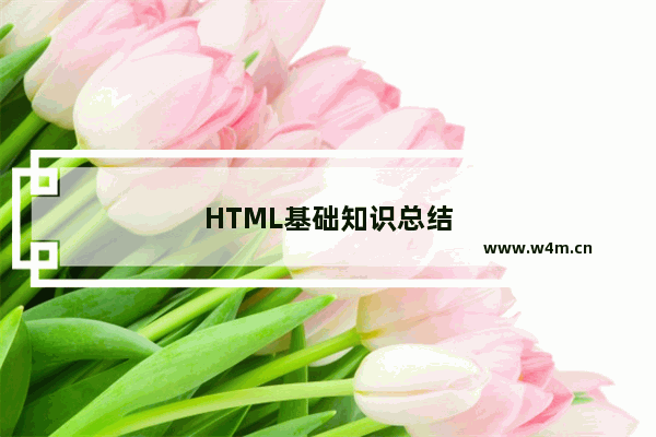 HTML基础知识总结