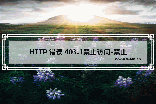 HTTP 错误 403.1禁止访问-禁止执行访问的完美解决方法