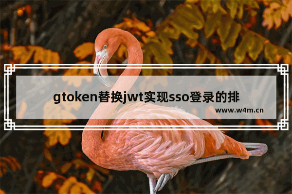 gtoken替换jwt实现sso登录的排雷避坑