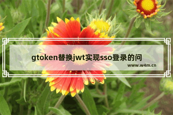 gtoken替换jwt实现sso登录的问题小结