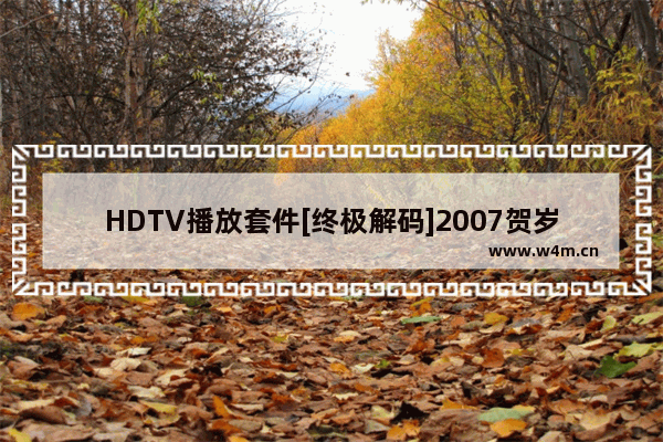 HDTV播放套件[终极解码]2007贺岁版更新