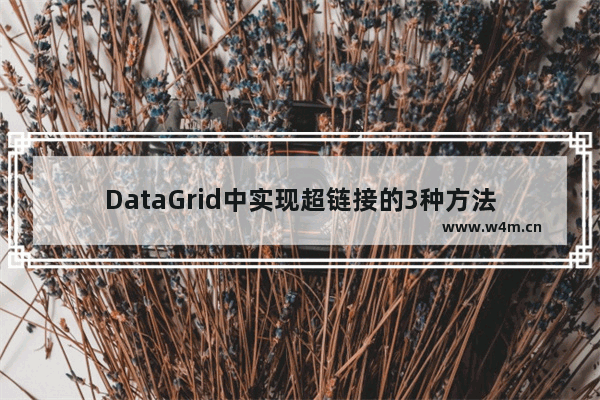 DataGrid中实现超链接的3种方法